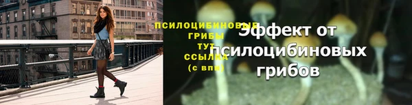 mdpv Костерёво