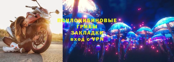 не бодяженный Аркадак