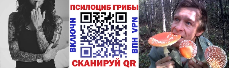 Галлюциногенные грибы прущие грибы  Великие Луки 